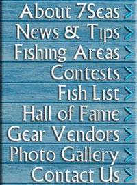 (Navigation Menu)